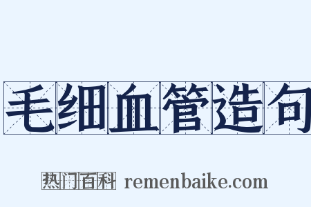 毛细血管造句是什么意思的图片